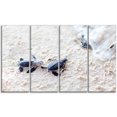 thumbnail image 2 of Baby Green Turtles on Sand - Oversized Animal Wall Art, 2 of 3