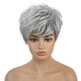 thumbnail image 2 of Silver Gray Micro Curl Wig, 11in Short Curly Synthetic Hair, Adjustable Lace Cap, Party Cosplay Costume, Women Protective Hair Headgear, Natural Look, 2 of 8