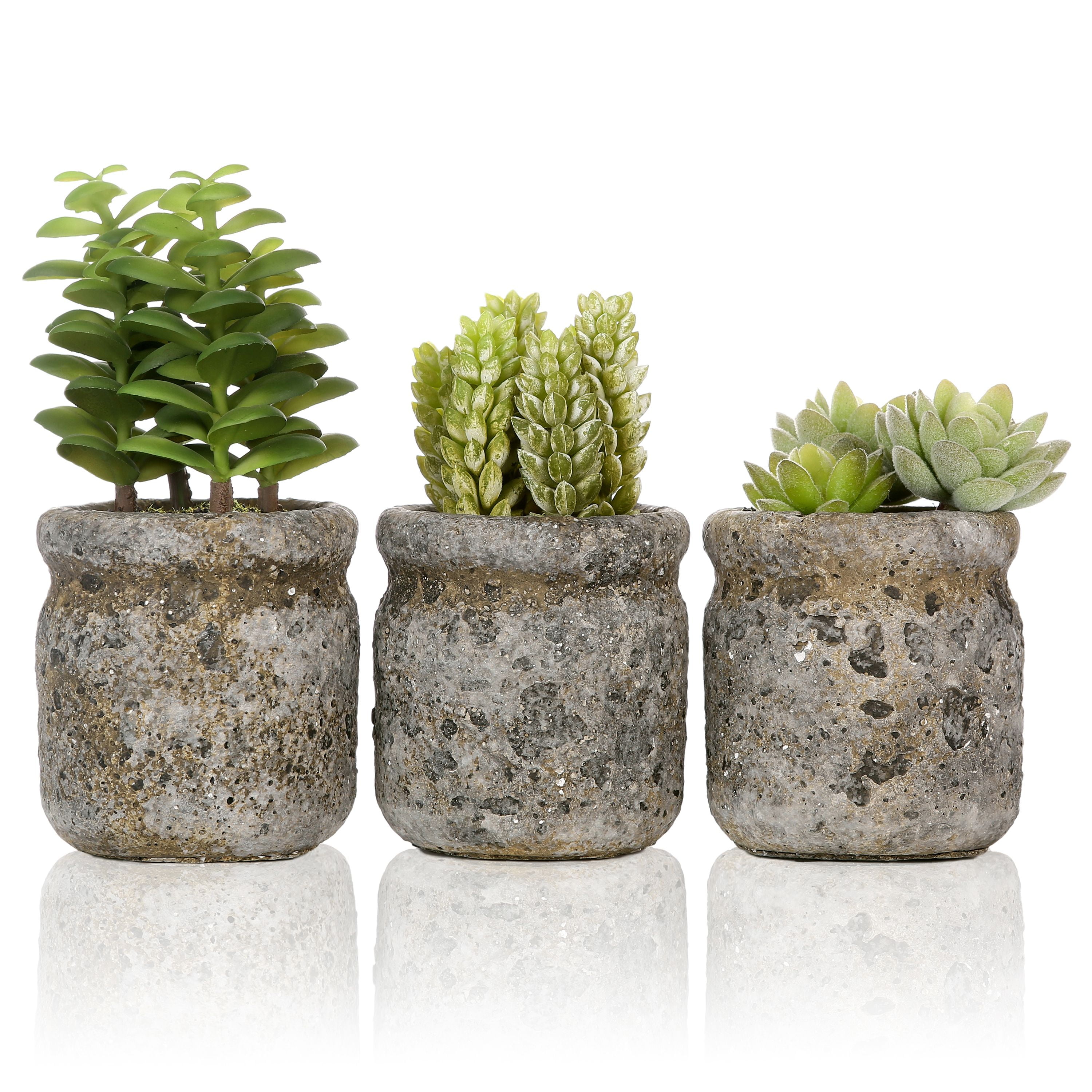 Rustic Metal Planters Flower Succulent Cactus Plant Pots Decorative Green 