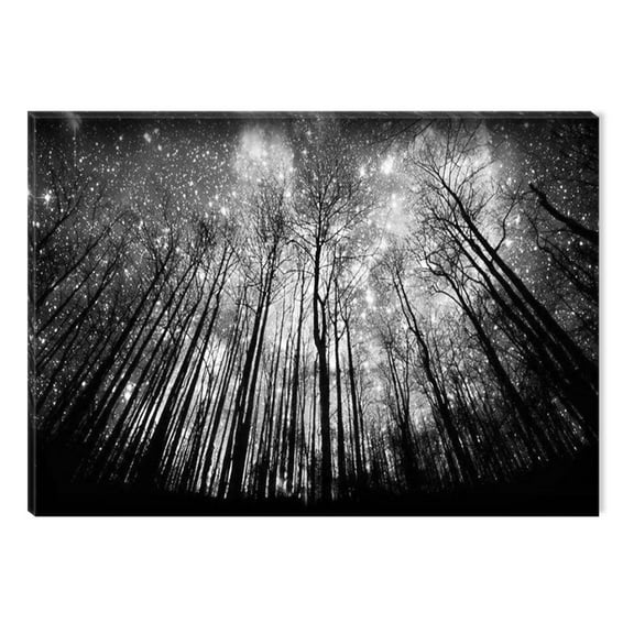 Startonight Canvas Wall Art Black and White Abstract Starry Night, Dual View Surprise Artwork Modern Framed Ready to Hang Wall Art 100% Original Art Painting 23.62 X 35.43 inch