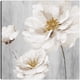 thumbnail image 1 of Blancos de jardín II, 1 of 4