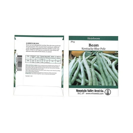 Kentucky Blue Pole Bean Seeds - 25 Gram Packet - Non-GMO, Heirloom - Green Bean Vegetable Garden Seeds - Phaseolus vulgaris, Bean Seeds .., By Mountain Valley Seed Company Ship from