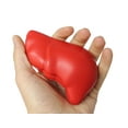thumbnail image 5 of Body Parts Stress Ball Bundle - Office, Doctor, Med Student Anatomy, 5 of 9