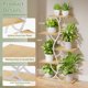 thumbnail image 2 of Soporte para plantas de interior EVAWOO de 44 cm de alto con luces de cultivo de 5 niveles, 2 of 9