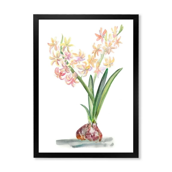 Designart 'Blossoming Hyacinth' Traditional Framed Art Print