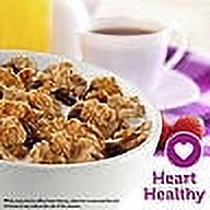 Raisin Bran Cereal, 76.5 oz., (Pack of 2)
