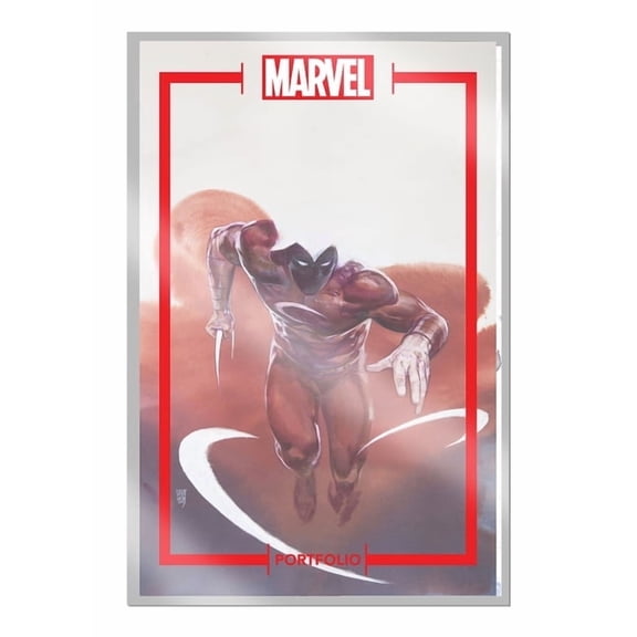 Marvel Portfolio The Marvel Portfolio of Alex Maleev -- Marvel Universe: The Marvel Universe, (Loose Leaf)