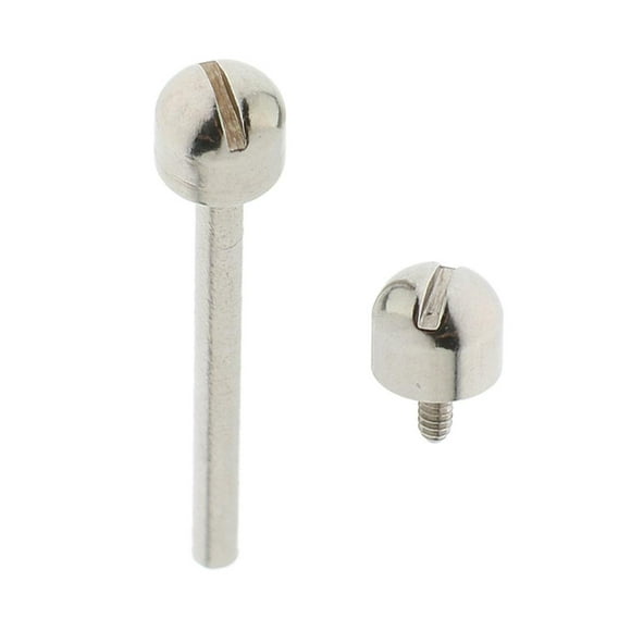 Barra de tornillo, tubo, pasador de fricción, barras de presión, pasadores, accesorios para herramientas de reparación de relojes 18 mm