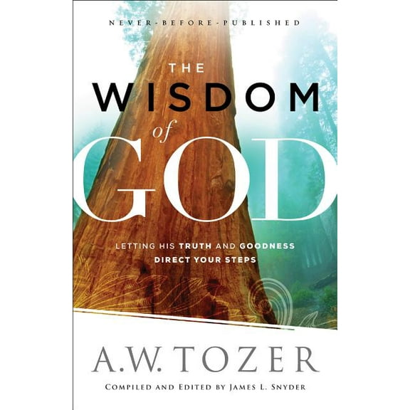 The Wisdom of God: Letting His Truth and Goodness Direct Your Steps, (Paperback)