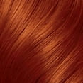 thumbnail image 2 of Vidal Sassoon Pro Series London Luxe Hair 6RC Bold Copper Citrine Color Kit 6 RC, 2 of 4
