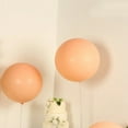 thumbnail image 6 of BalsaCircle 5 Blush 36 in Round Matte Pastel Latex Biodegradable Balloons Wedding Reception Events Birthday Party Decorations Supplies, 6 of 8