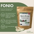 Shipetaukin Quick Fonio African Supergrain Gluten Free Vegan Non GMO Substitute for