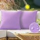 thumbnail image 1 of Chenchen Outdoor Waterproof Throw Pillow Covers 20X20 Set of 2 Decorative Purple Patio Furniture Cushion Cases Outside Decor for Couch Garden Bench Porch, 1 of 1