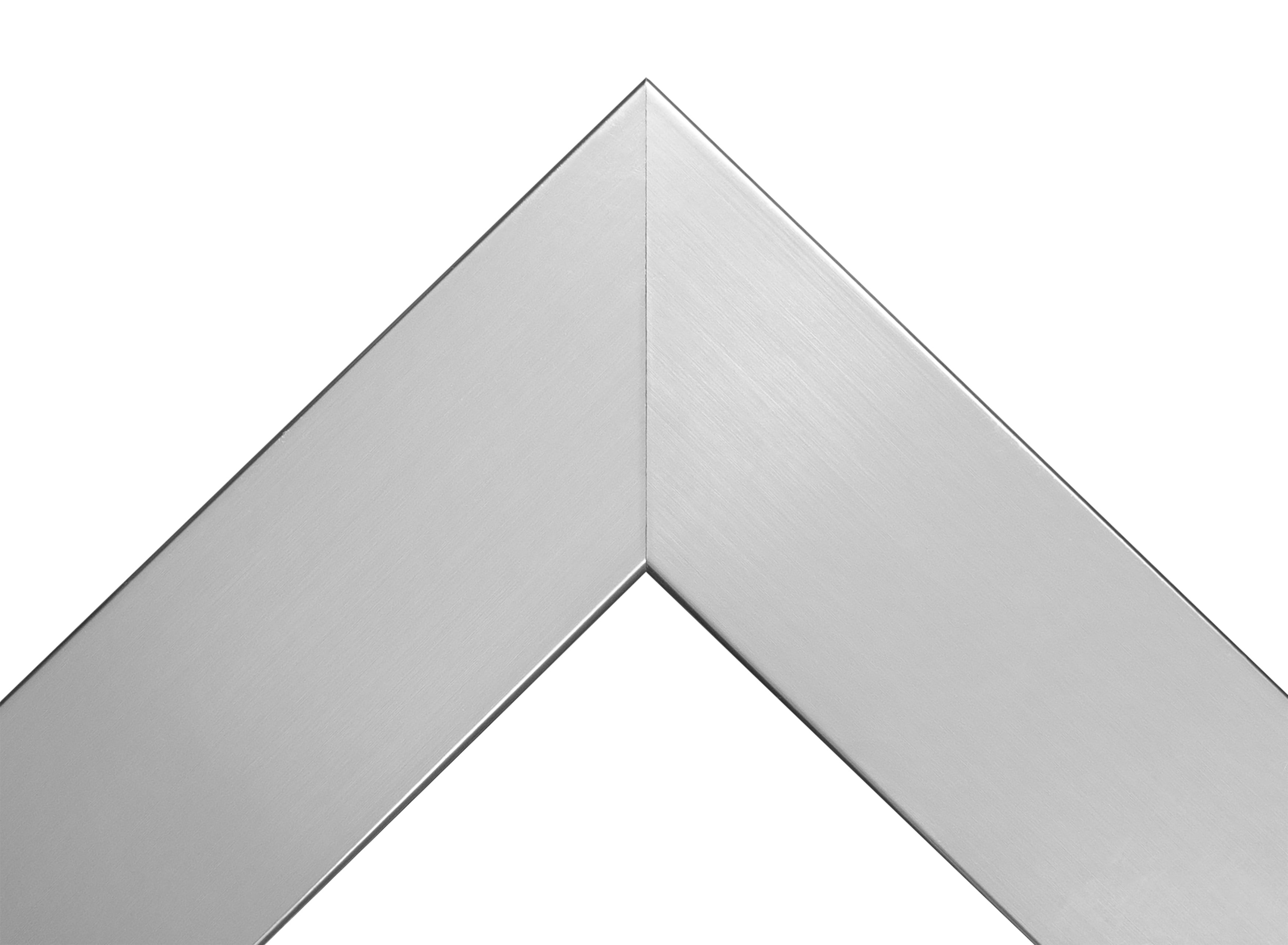 Rayne Beveled Full Length Wall Mirror 65.5"x32" Floor Mirror Silver