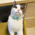 thumbnail image 3 of 2 Pack Breakaway Cat Collar with Removable Bowtie and Bells Cute Fruit Pattern Adjustable 8”-12”, 3 of 7