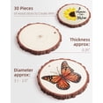 thumbnail image 2 of Wood Slices Travlog, 30 unidades, manualidades naturales, de 8 a 9 cm, 2 of 7