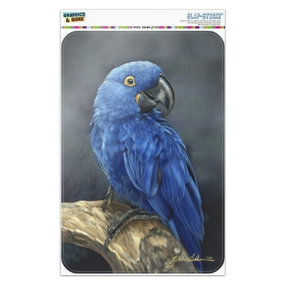 Hyacinth Macaw Parrot Home Business Office Sign