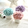 thumbnail image 5 of SPRING PARK 6 Branches/Bouquet Artificial Carnation Bouquet Realistic Fake Gift Flowers for Home Mother's Day, 5 of 7