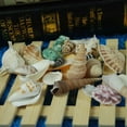 thumbnail image 4 of Labymos Varied Size Seashells Mixed Beach Natural Conch Cowrie Beadshells for Beach Theme Party Wedding, 4 of 8
