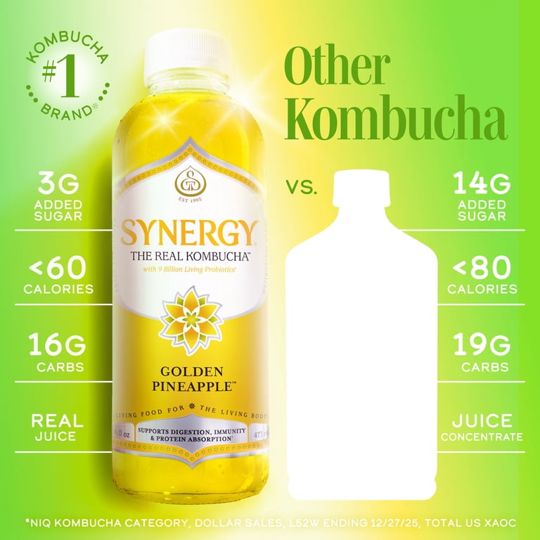 Synergy Golden Pineapple Kombucha 16 fl oz - Walmart.com