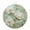 Celadon, White, Sage, variant on Round Welcome Sign for Front Door, Country Flowers Hanging Metal Farmhouse Wall Decor for Porch Entryway, Green Magnolia Flowers Rustic Botanical Decoration for Holiday Housewarming Gift, 8 in