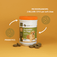 POINTPET Probiotics for Dogs Natural Probiotic Supplement with