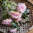thumbnail image 5 of Faux Silk Real Touch Blooming Rose Stem in Pink 25" Tall, 5 of 8