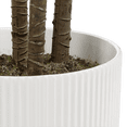 thumbnail image 4 of Bouclair Plante de Sol Exotique Artificielle dans Pot Blanc, 4 of 10