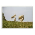 thumbnail image 1 of Stupell Industries Baby Sheep Family Farm Animal Landscape Photo Wall Plaque Art by Villager Jim, 1 of 3