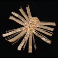 thumbnail image 1 of Hombreras con flecos BLESIY Charretera Insignia Disfraz Talla 4, 1 of 8