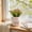 Multicolor Size G Z1, variant on Qonioi Artificial Flower Bonsai in Ceramic Pot, 5.9 Inch Fake Flowers for Home Office Desk Shelf Decor, Small Potted Table Centerpiece, Low Maintenance Indoor Greenery, Multicolor Assorted