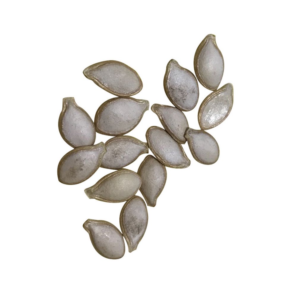 Onuneed Vietnam Milk Melon S eeds Vegetables Fruit S eeds Bonsai Plants