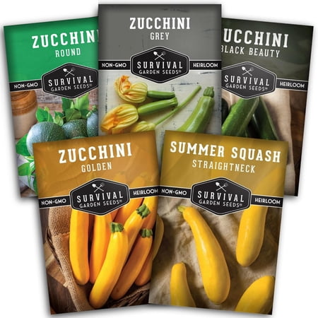 Zucchini & Summer Squash Seeds 5 Variety Pack - Full Sun Annual Vegetable