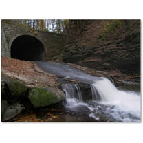 Trademark Fine Art "Monotonous Beauty" Canvas Art by Monica Fleet