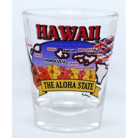 Hawaii State Elements Map shot glass