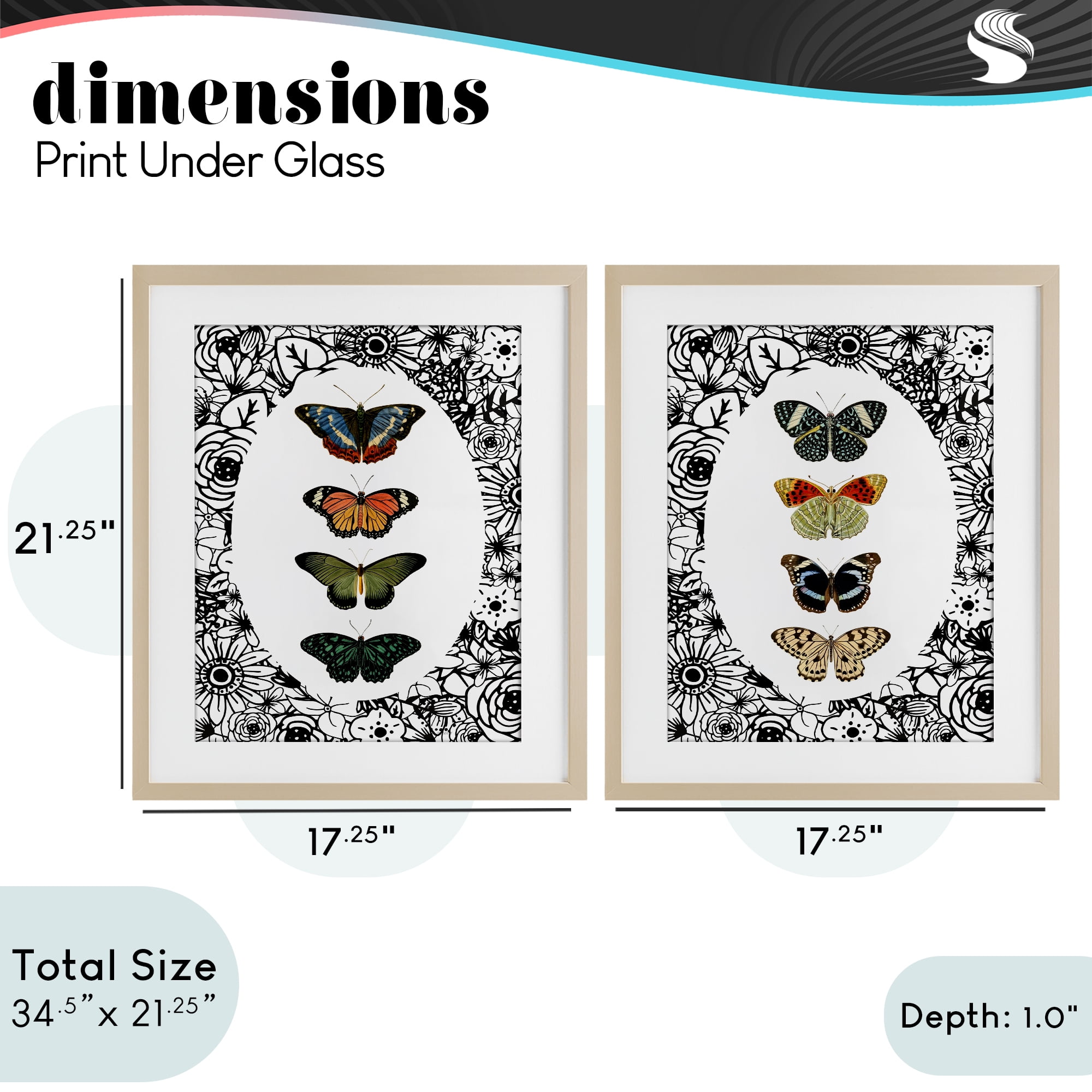 Stupell Industries Floral Butterflies Lineup 2 Piece Birch Framed Print Under Glass Set, design by Dan Meneely
