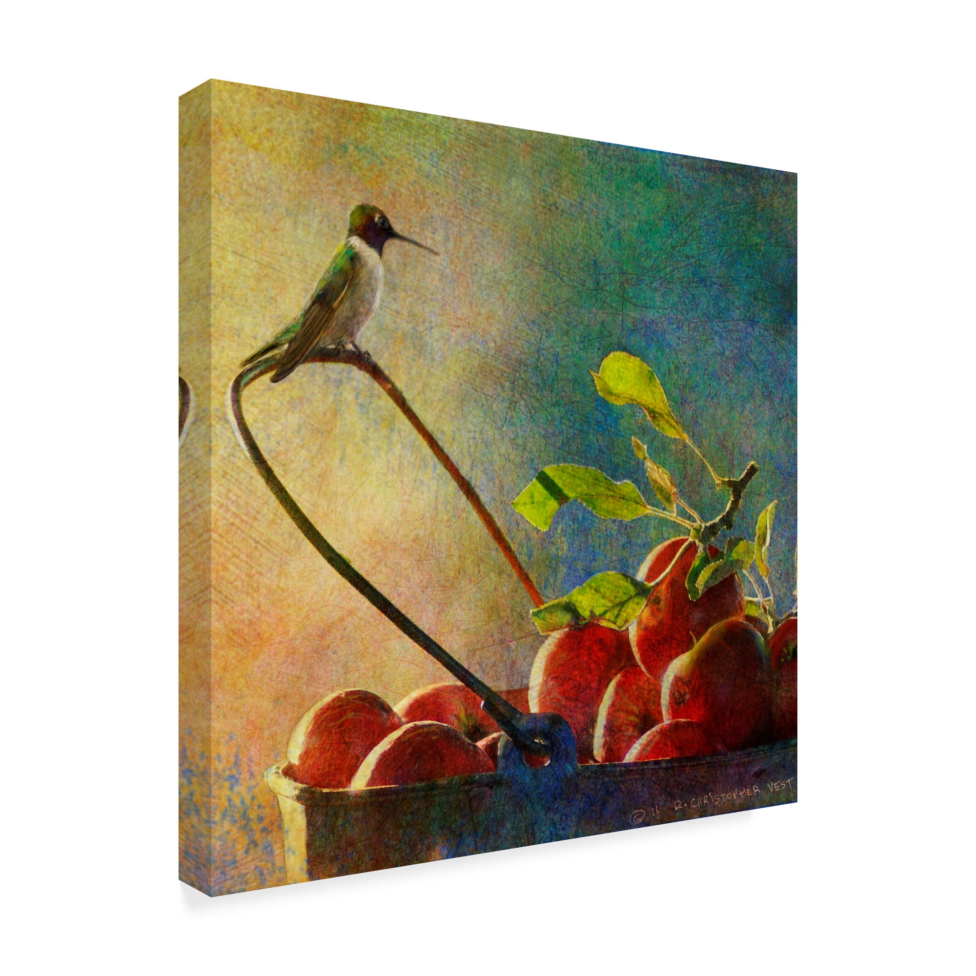 Trademark Fine Art 'Apples And Hummer' Canvas Art by Chris Vest