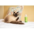 thumbnail image 5 of cleanclean Pet Odor Eliminator calming aroma vegan, 5 of 5