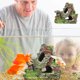thumbnail image 5 of Adorno de Rocalla con Vista a La Montaña para Acuario con Escondite | Decoración de Resina para Pecera | Paisaje Natural Multicolor para Peces, Lagartos, Ranas y Reptiles | Decoración Segura para Acu, 5 of 6