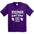 thumbnail image 3 of Inktastic Wisconsin Awesome Since 1848 Youth T-Shirt, 3 of 5