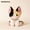 Calico Devon Cat, variant on GlobalBreeze Cute Cat Plush Toy – Yaya Series, Soft Stuffed Animal Kitty Doll, Fluffy Minky Plushie for Desk Decor, Cozy Companion Gift for Kids & Cat Lovers