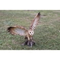 thumbnail image 5 of Hi-Line Gifts 20.5" Brown and Beige Barn Owl on Stump Figurine, 5 of 5