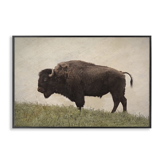 Stupell Industries Farmhouse Serene Buffalo on Country Hill Black Framed Giclee Art, 18 x 12, by Steve Toole