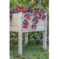 thumbnail image 3 of Zylina Raised Elevated Wood Garden Planter Collection - 22"(L) x 22"(W) x 26"(H), 3 of 8