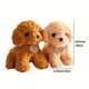 thumbnail image 4 of 1pc, Simulation Teddy Dog Plush Doll(7.87"x3.15"), Cute Soft Puppy Toy, Animal Dolls, Birthday Gifts, Party Gifts, Holiday Supplies, Room Decor, Home Decor, 4 of 4