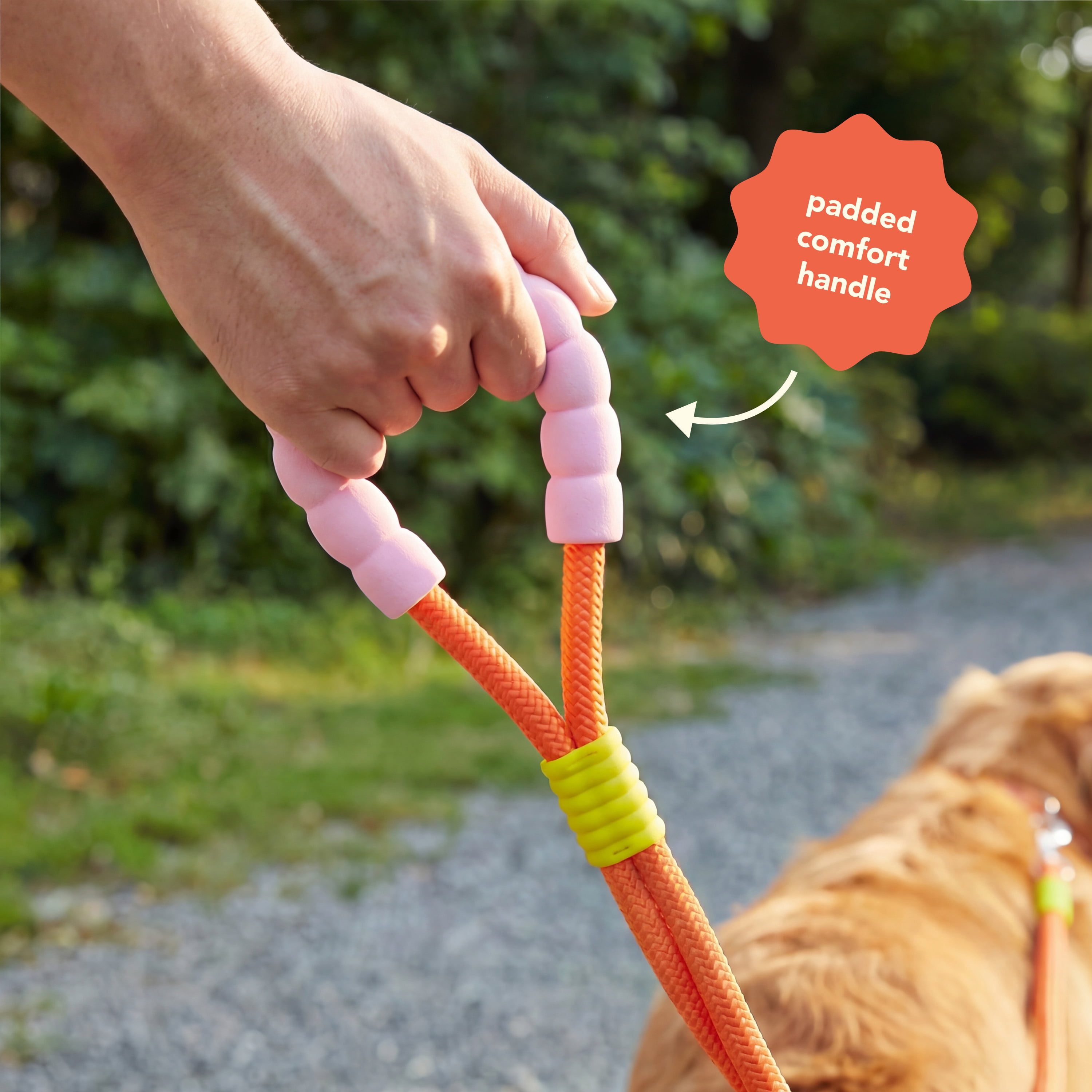 Oodles Color Wrapped 6 ft Polyester Rope Dog Leash, Multi-Colored
