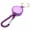 Purple, variant on Retractable Keychain with Steel Cable - Recoil Key Holder for Office, Home, Car Keys, Includes Quick Release Buckle for Easy One-Hand Operation