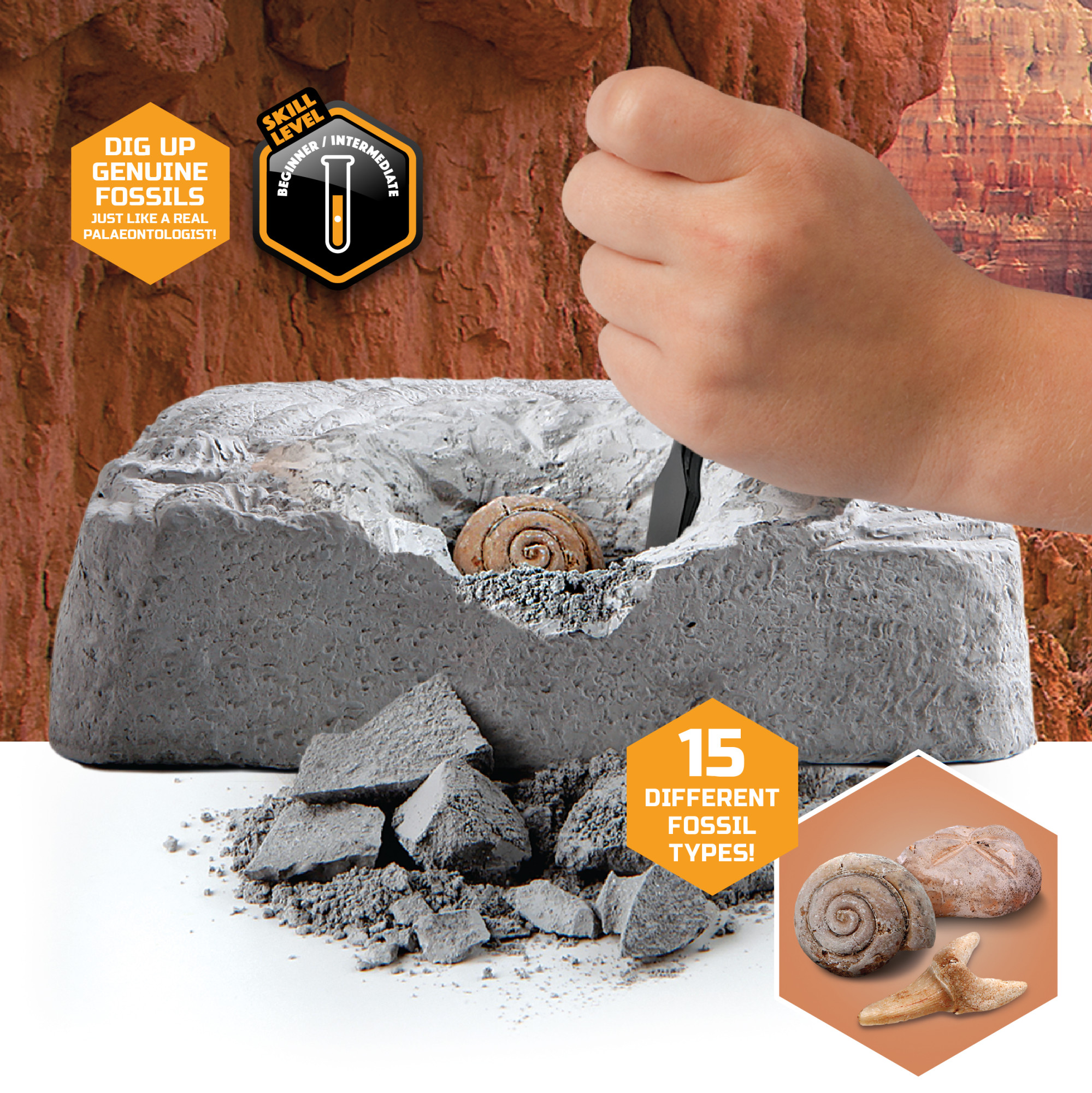 Discovery #Mindblown Colossal Fossil Dig Excavation Kit photo 8