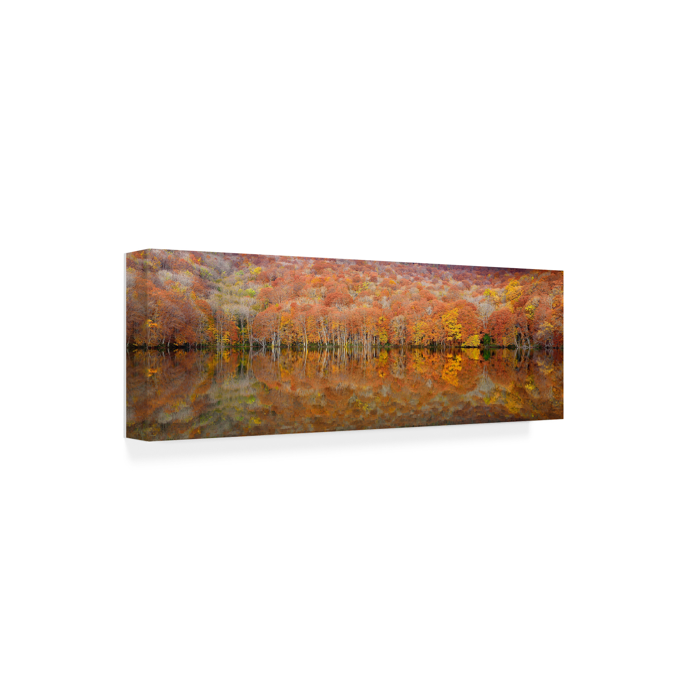 Sho Shibata 'Glowing Autumn' Canvas Art