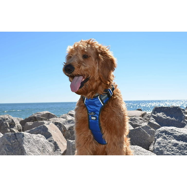 Black rhino dog shop harness